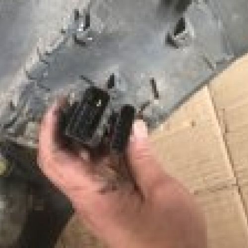 img 0245