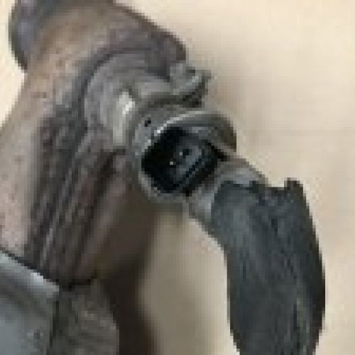 img 1216