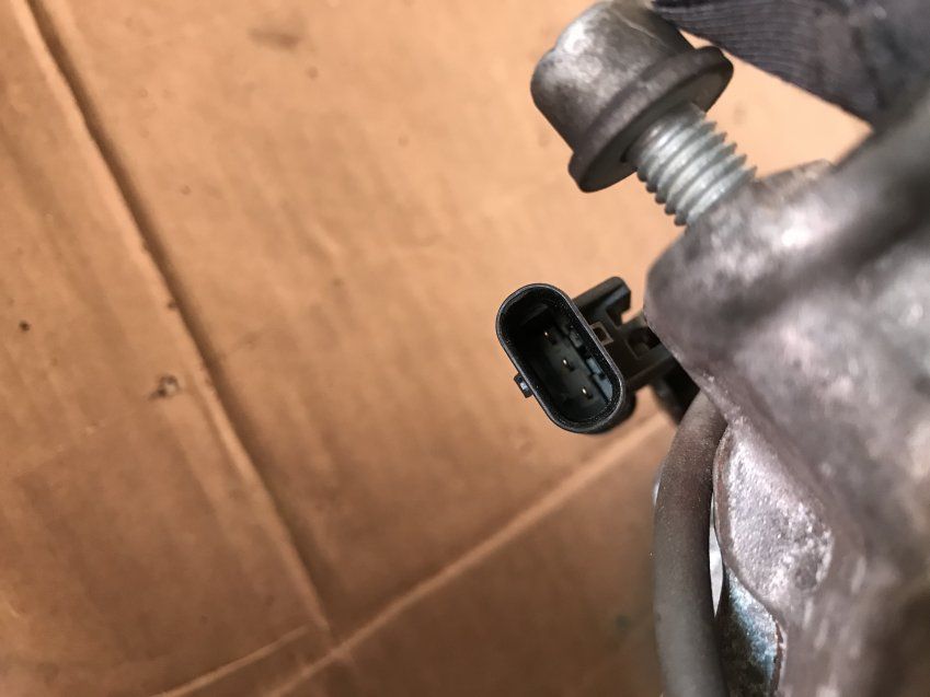 img 7983