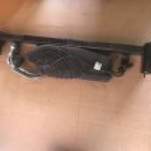 img 7853