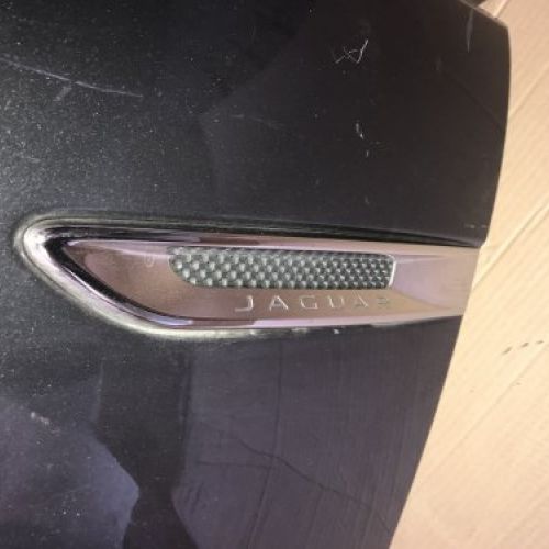 img 0517