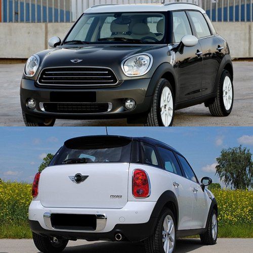 Countryman R60