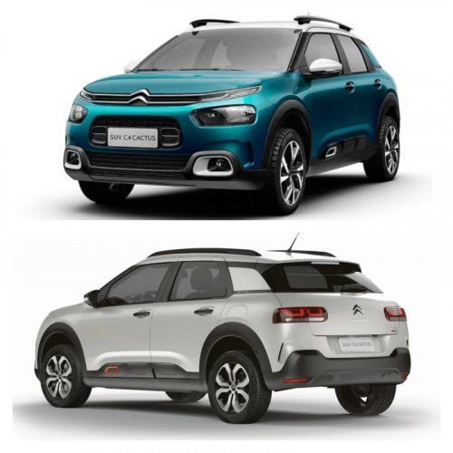 c4 cactus 2 fotos